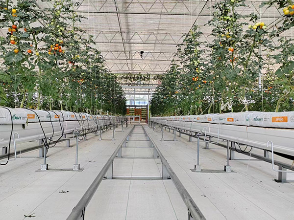 鶴崗無土栽培溫室工程