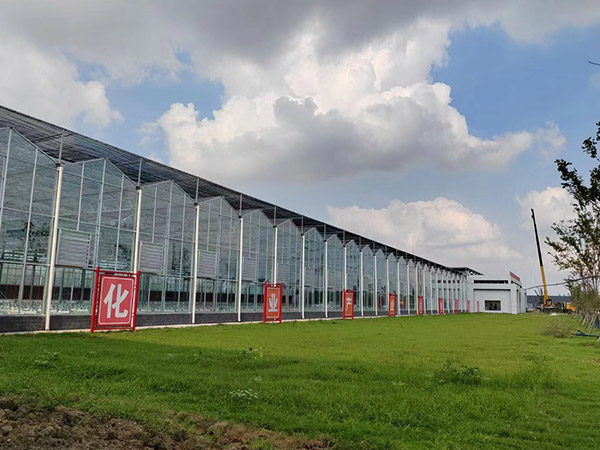 新鄉智能玻璃溫室大棚