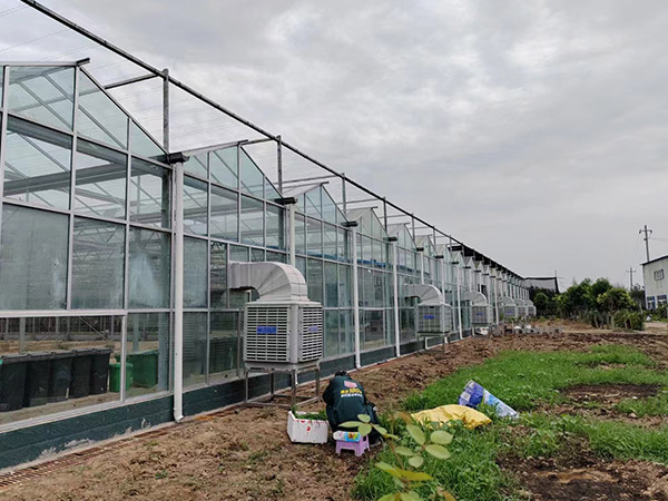 大連現代農業智能玻璃大棚