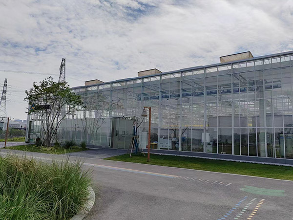 山西玻璃溫室大棚建設