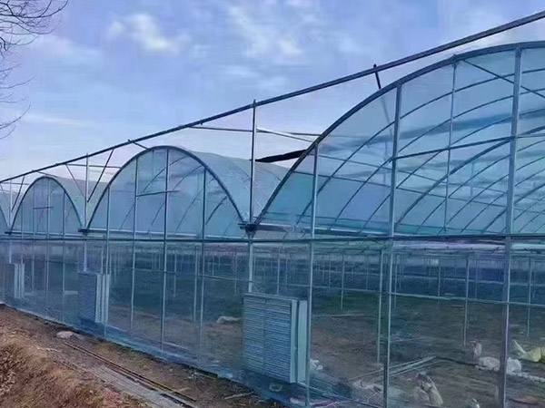 安徽連棟薄膜大棚施工