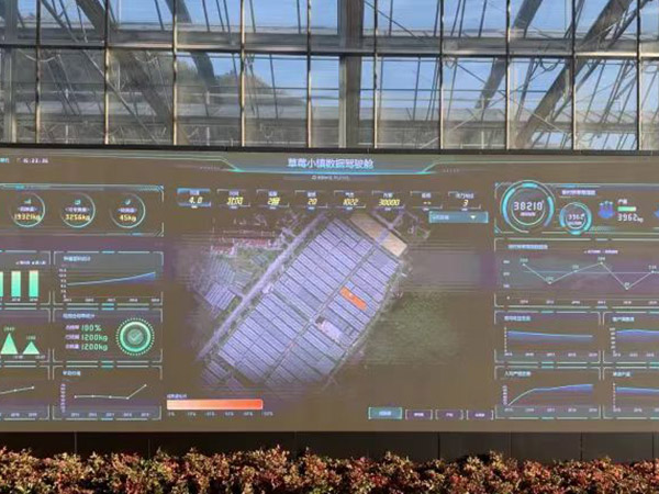 濟寧智能化管理溫室大棚