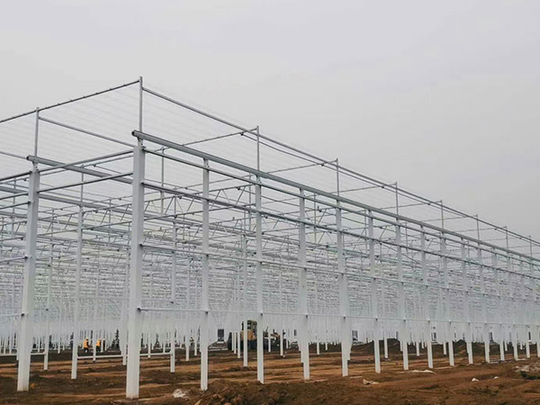 西藏溫室大棚骨架