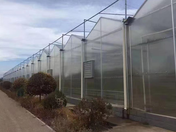 濟寧陽光板大棚造價