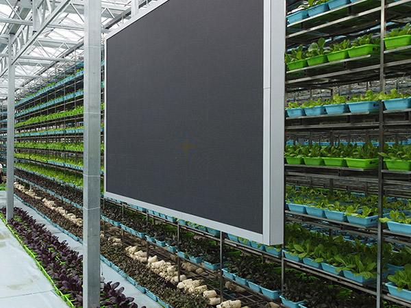 齊齊哈爾物聯網控制系統